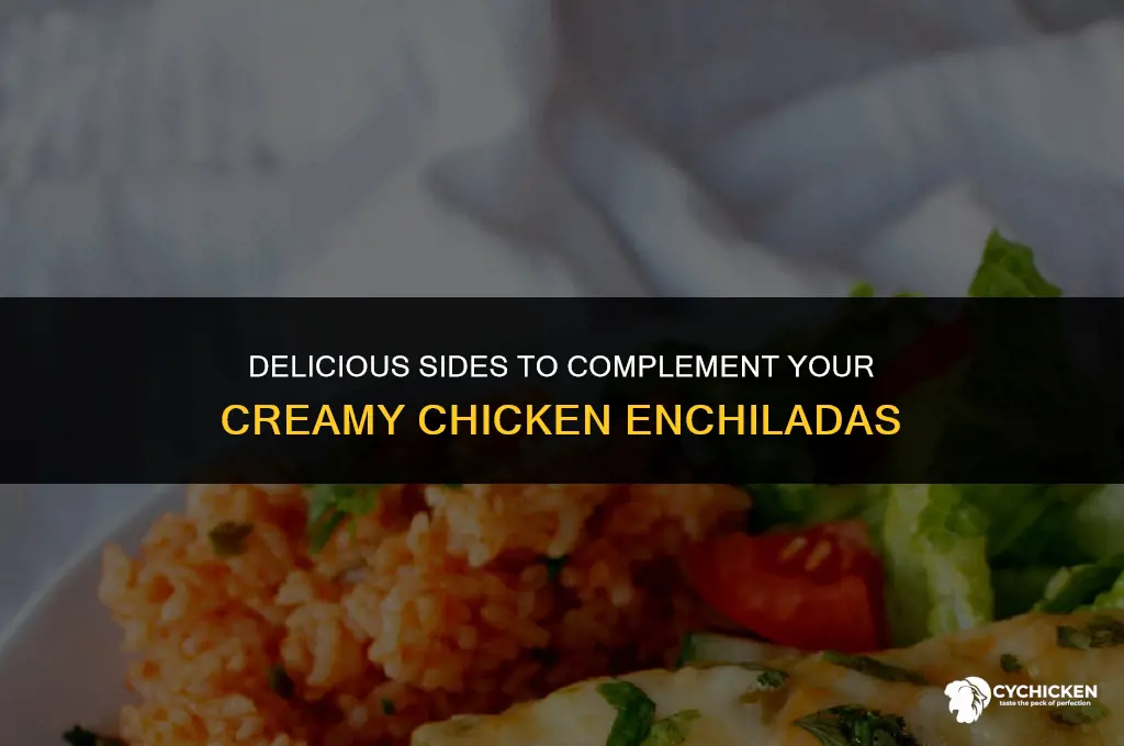 what to serve with creamy chicken enchiladas