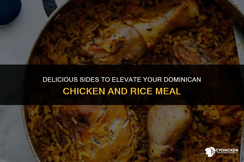 what to serve with dominican chicken and rice