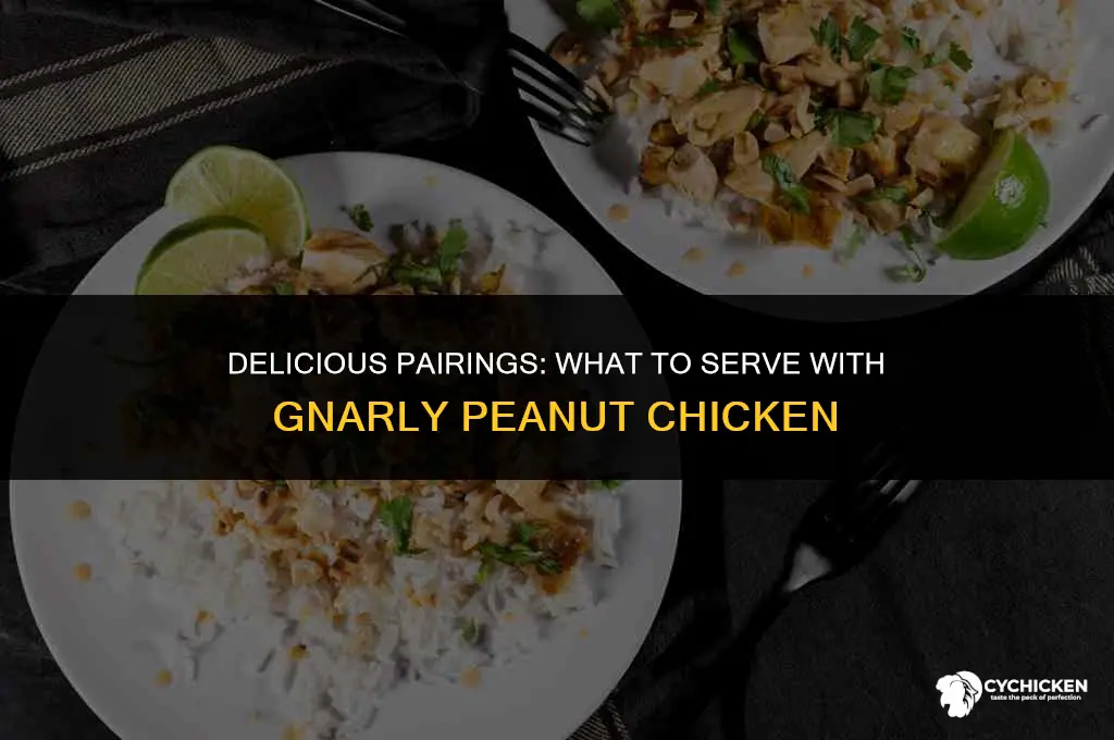what to serve with gnarly peanut chicken