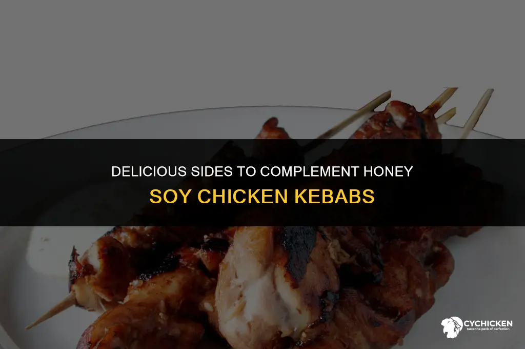 what to serve with honey soy chicken kebabs