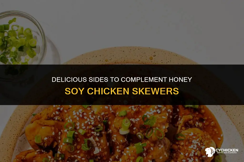 what to serve with honey soy chicken skewers