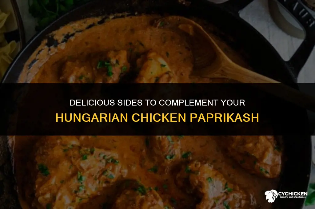 what to serve with hungarian chicken paprikash