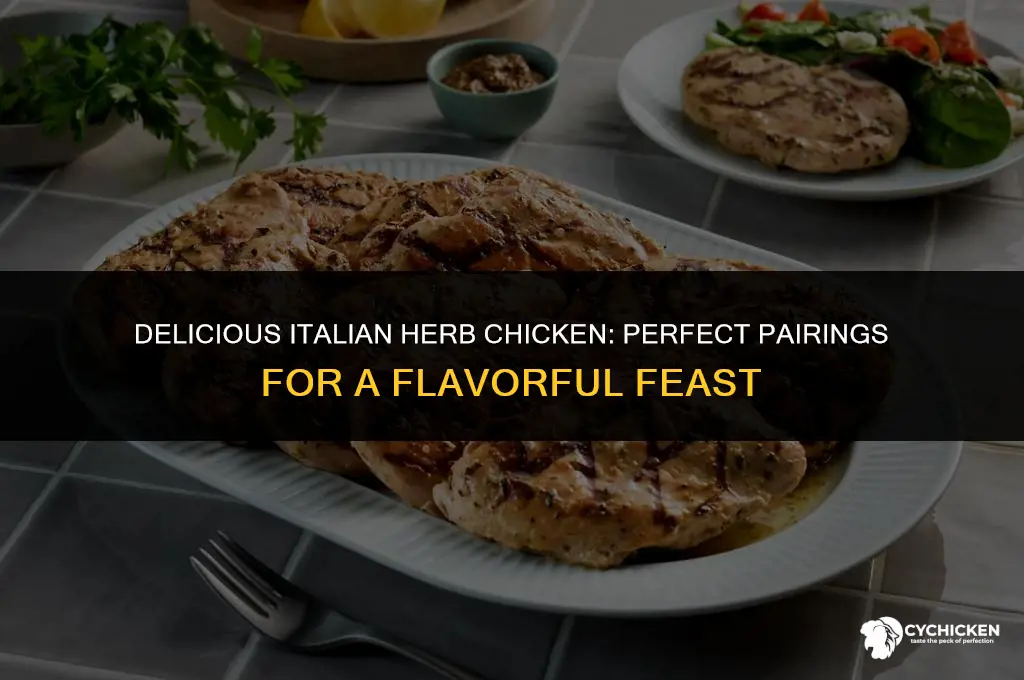 what to serve with italian herb chicken