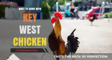 Delicious Pairings: What to Serve with Key West Chicken