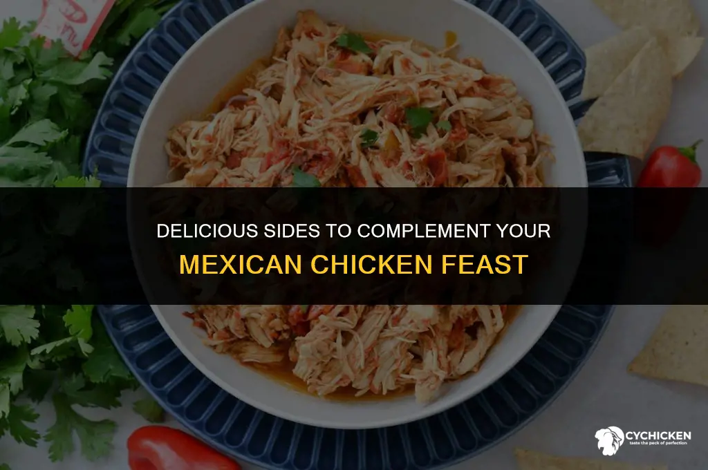 what to serve with mexican chicken