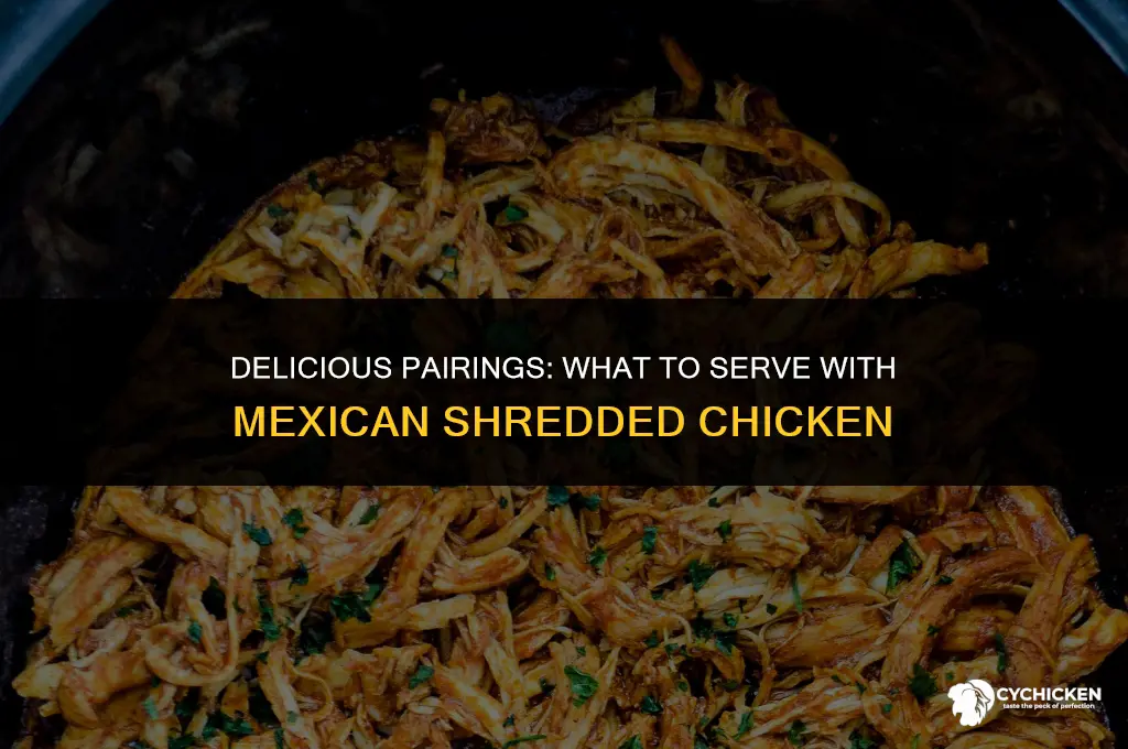 what to serve with mexican shredded chicken