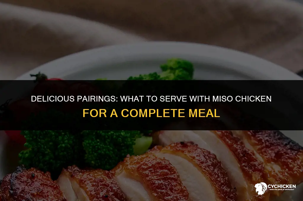 what to serve with miso chicken