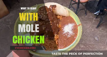 Delicious Pairings: What to Serve with Mole Chicken
