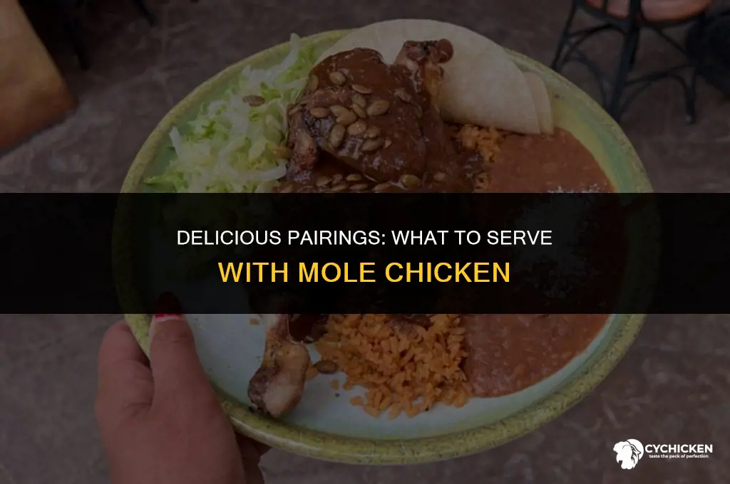 what to serve with mole chicken