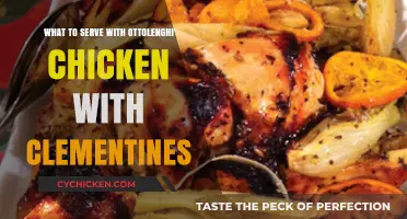 Citrusy Chicken Delight: Ottolenghi's Clementine-Infused Feast