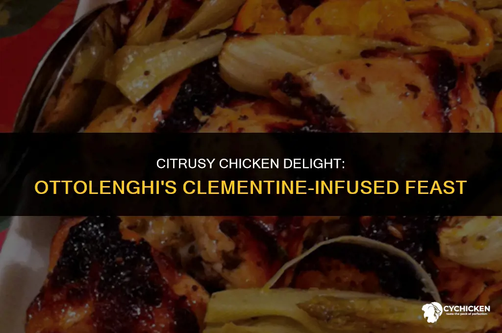 what to serve with ottolenghi chicken with clementines