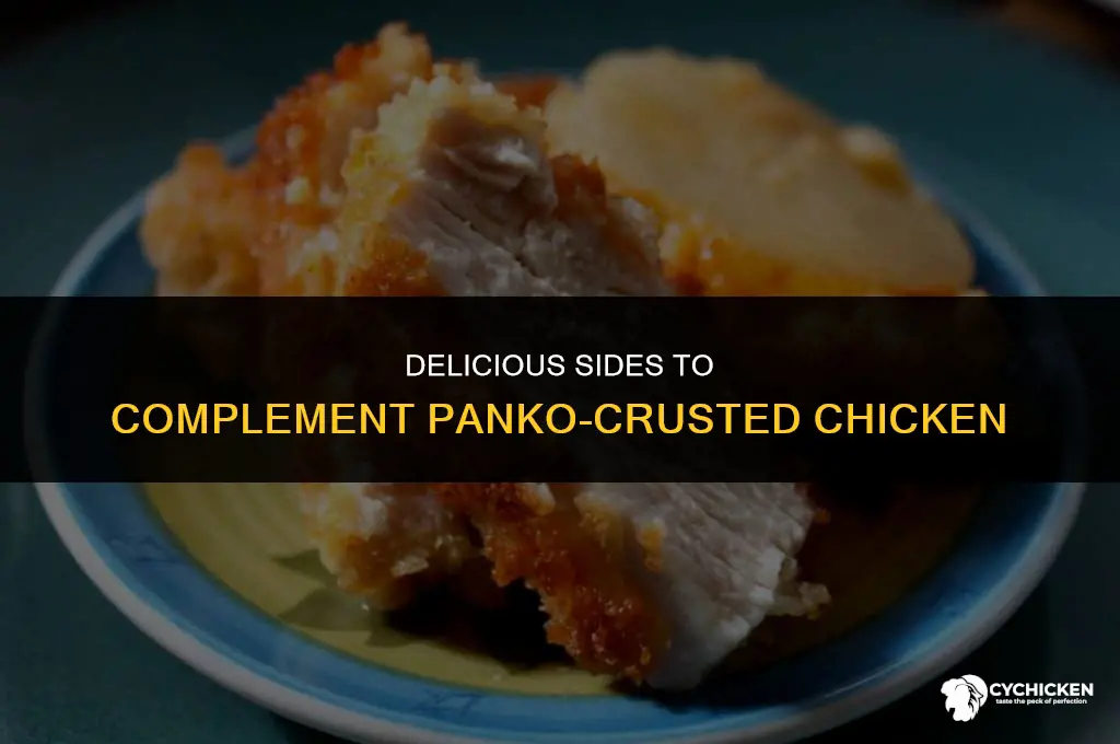 what to serve with panko crusted chicken