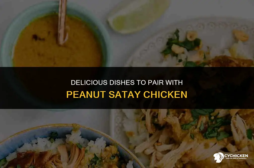 what to serve with peanut satay chicken
