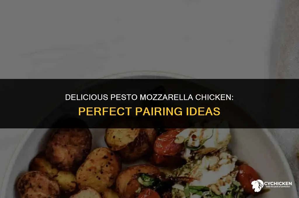 what to serve with pesto mozzarella chicken