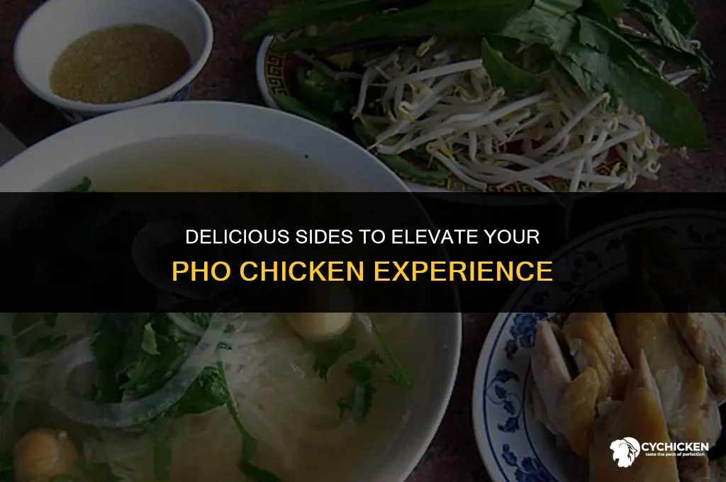 what to serve with pho chicken
