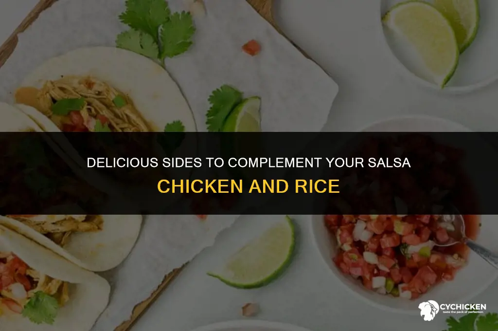 what to serve with salsa chicken and rice