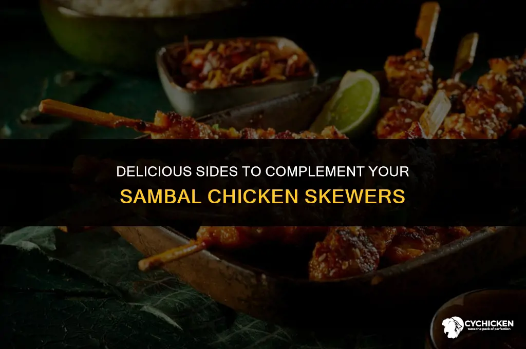 what to serve with sambal chicken skewers
