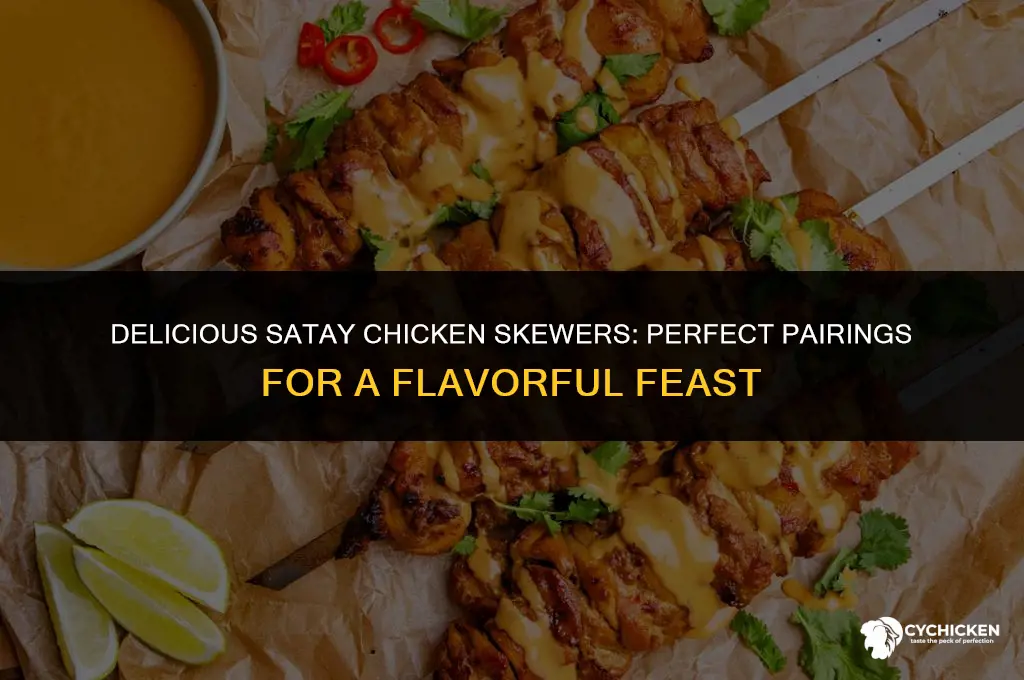 what to serve with satay chicken skewers
