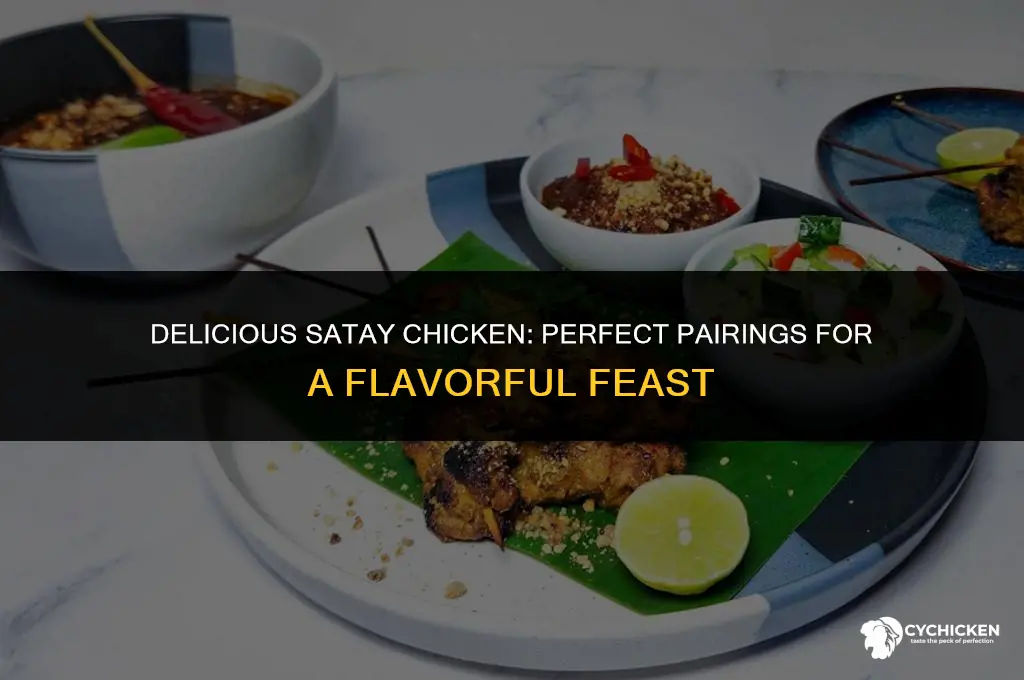 what to serve with satay chicken