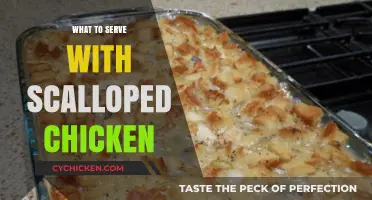 Delicious Pairings: What to Serve with Scalloped Chicken for a Complete Meal