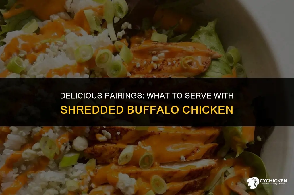 what to serve with shredded buffalo chicken