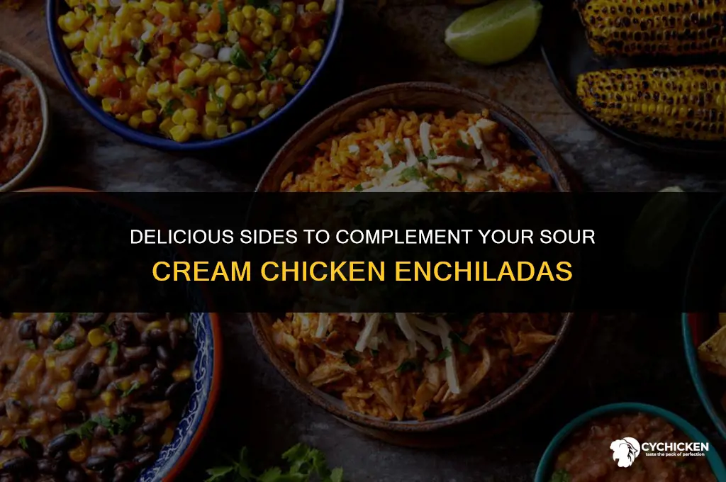 what to serve with sour cream chicken enchiladas