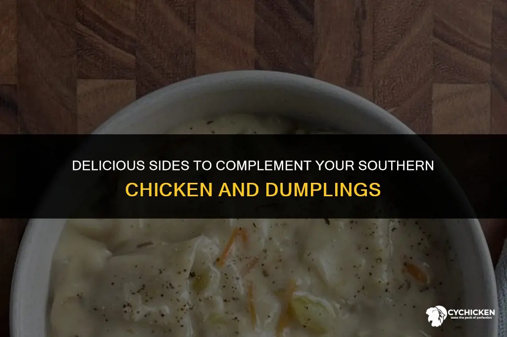 what to serve with southern chicken and dumplings