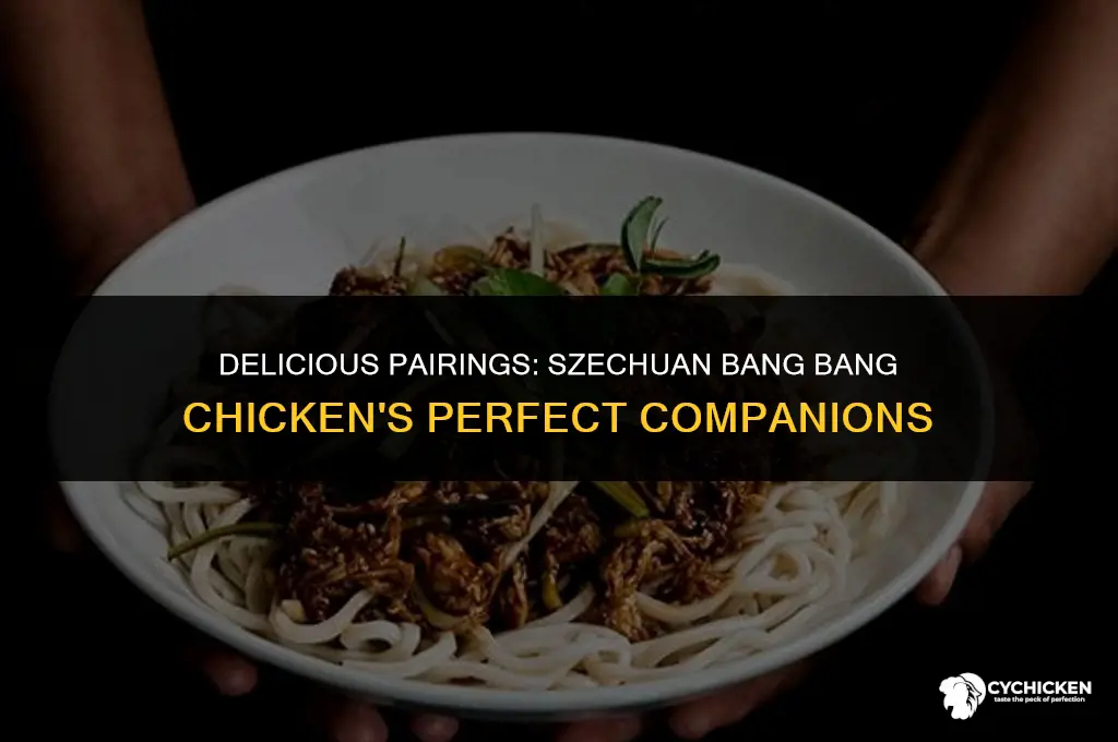 what to serve with szechuan bang bang chicken
