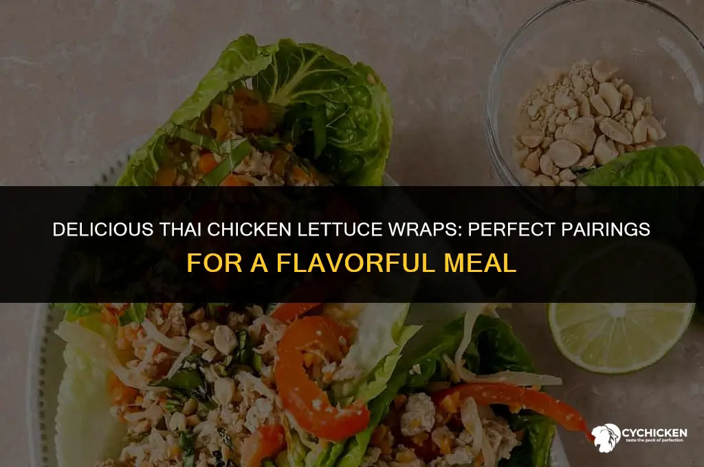 what to serve with thai chicken lettuce wraps