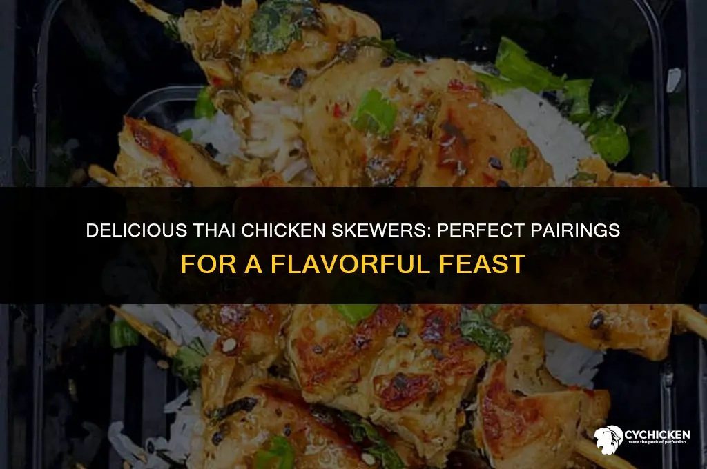 what to serve with thai chicken skewers