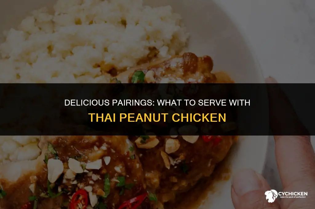 what to serve with thai peanut chicken