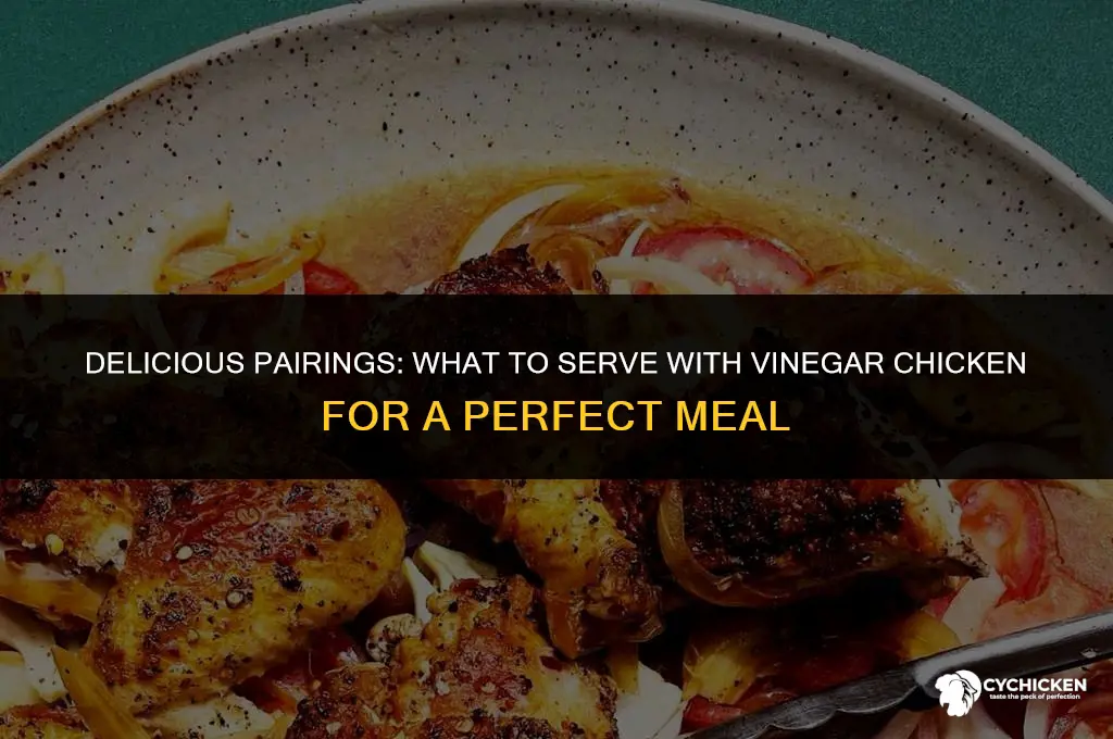 what to serve with vinegar chicken