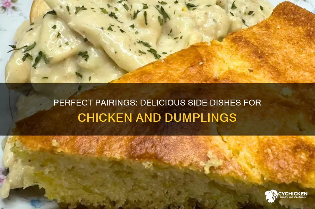 what to seve with chicken and dumplings