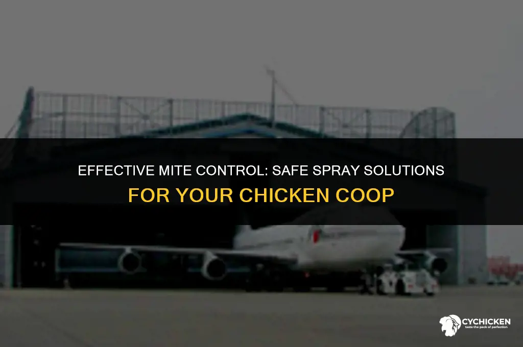 what to spray chicken coop for mites