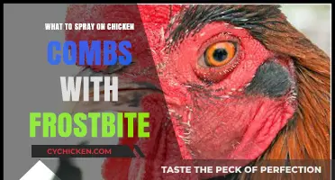 Treating Frostbitten Chicken Combs: Effective Sprays for Healing and Care