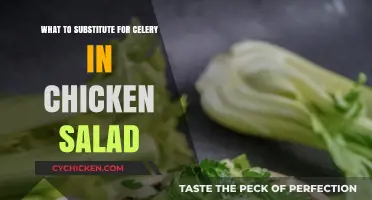 Crunchy Alternatives: Best Celery Substitutes for Chicken Salad