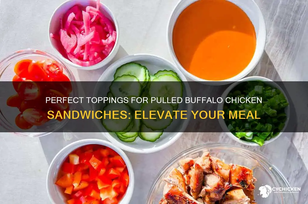 what to top pulled buffalo chicken sandwiches with