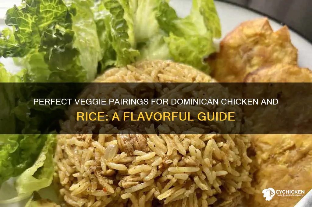 what to vegetable with dominican chicken and rice