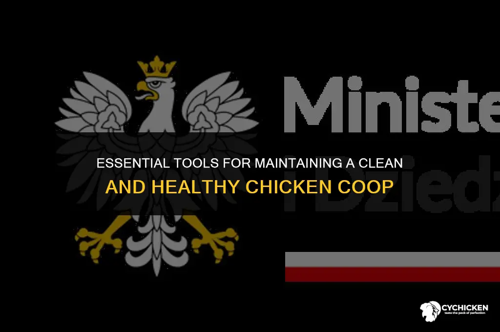 what tools to clean chicken coops
