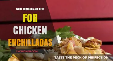 Perfect Chicken Enchiladas: Top Tortilla Choices for Flavor and Texture