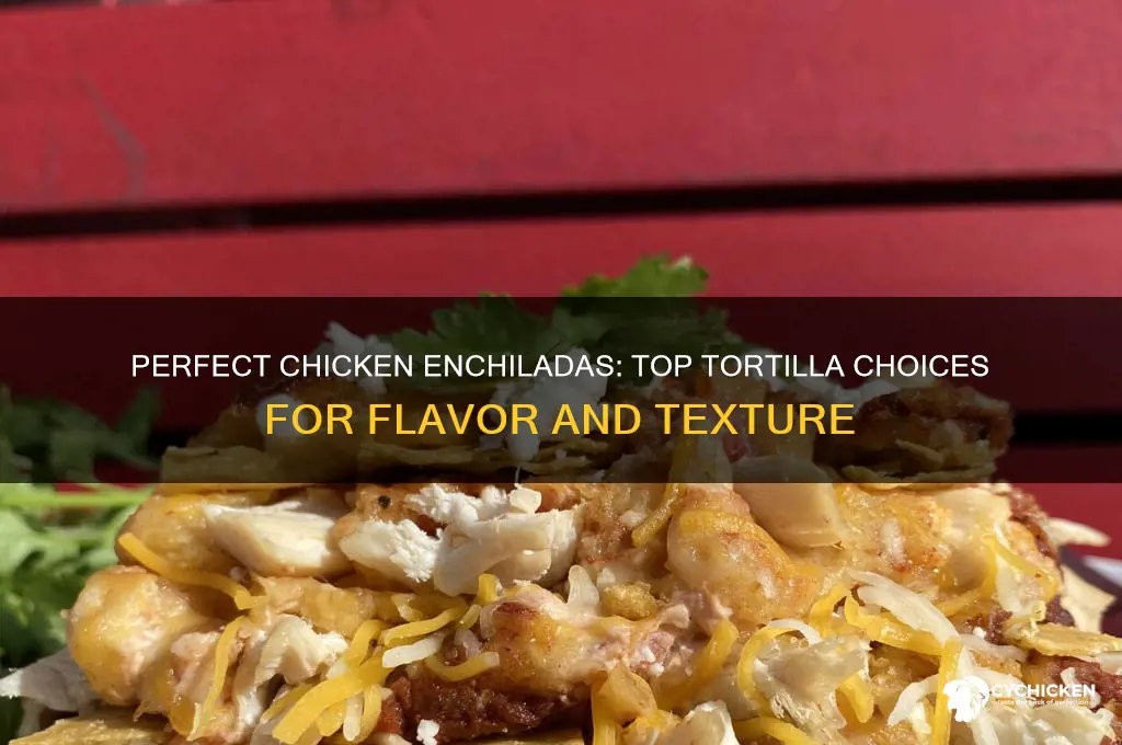 what tortillas are best for chicken enchilladas