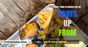 Chicken Joe's Hometown: A Surfs Up Location Mystery