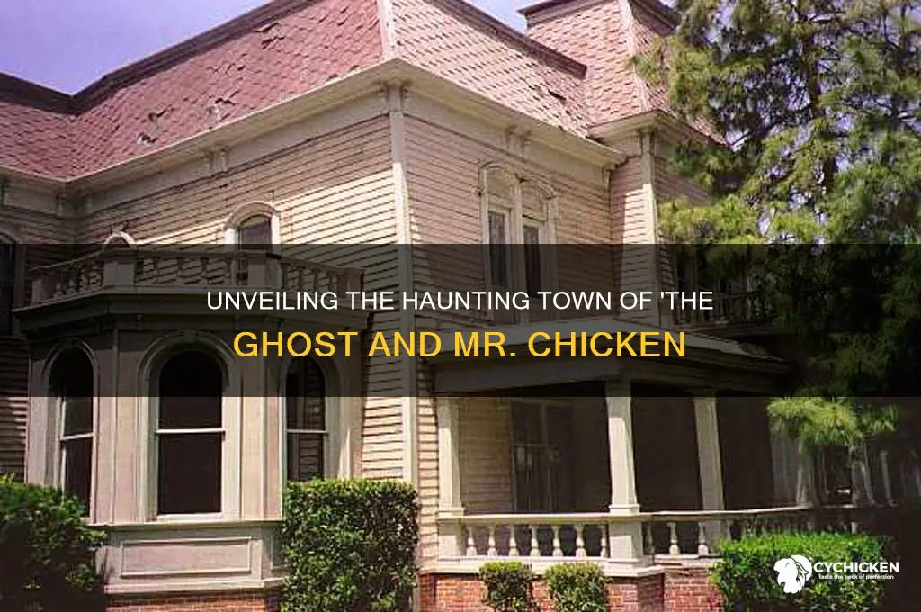 what town the ghost and mr chicken