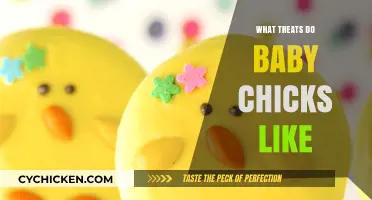 Delightful Treats Baby Chicks Love: A Guide to Healthy Snacks