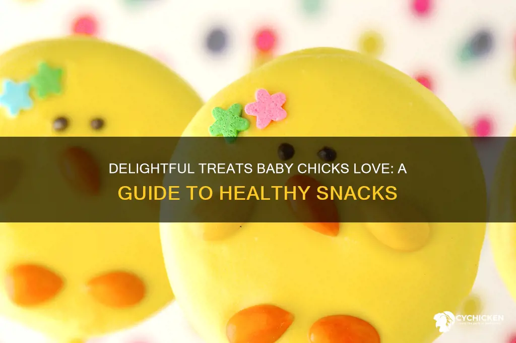 what treats do baby chicks like