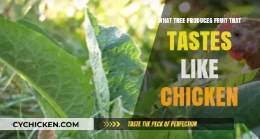 The Surprising Chicken-Flavored Fruit: Unveiling the Mystery Tree