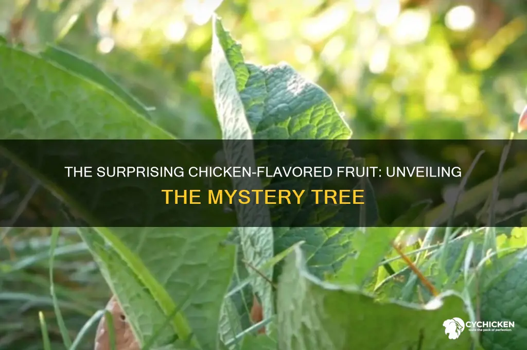 what tree produces fruit that tastes like chicken