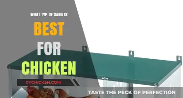 Choosing the Best Sand for Your Chicken Coop: A Guide