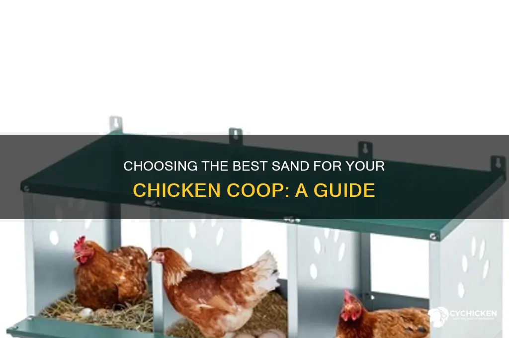 what typ of sand is best for chicken
