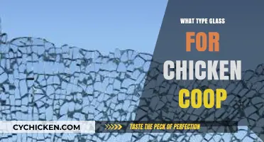 Choosing the Right Glass for Your Chicken Coop: A Guide